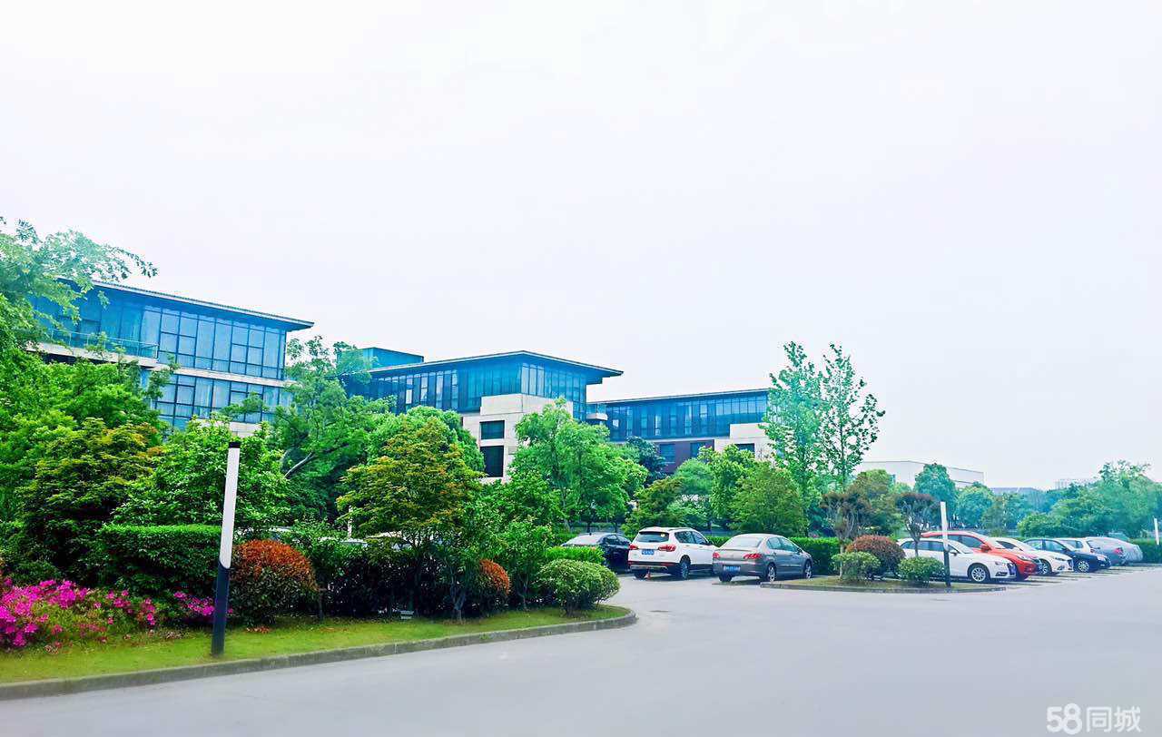 产品展示